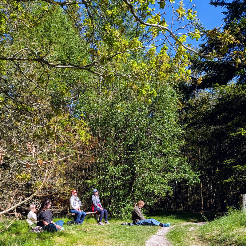 Gruppe af deltagere sidder stille i en solbeskinnet skov ved en sti