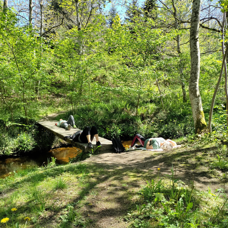 Deltagere ligger til afslapning på en træbro over en bæk i en solbeskinnet skov